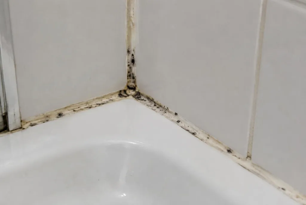 Kitbedrijf Zaltbommel – beschimmelde kitranden